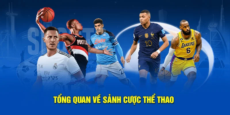 Các Chiến Lược Cá Cược Phổ Biến và Cách Áp Dụng Hiệu Quả