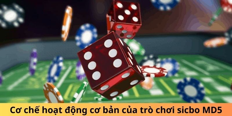 Áp dụng chiến lược gấp thếp hợp lý và quản lý vốn hiệu quả