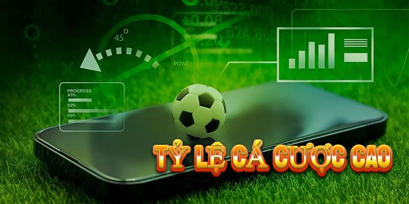 Mẹo Chơi Thể Thao D8 Hiệu Quả Tại Vegas79