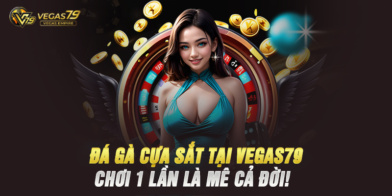 Đá Gà Cựa Sắt Là Gì Và Tại Sao Nó Hấp Dẫn?